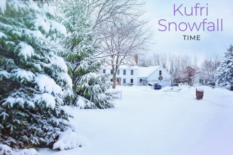 visit-kufri-for-snowfall
