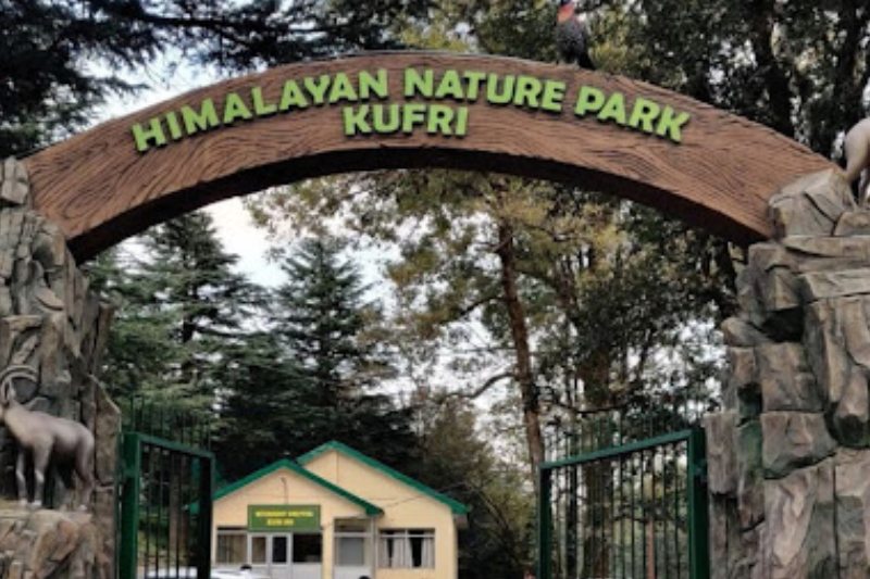 kufri zoo